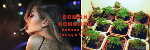 сатива Михайлов