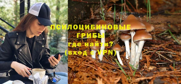 сатива Михайлов