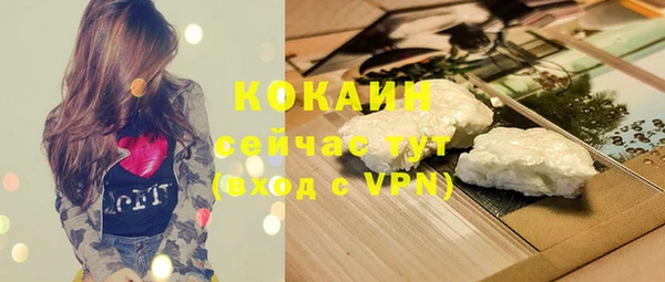 сатива Михайлов