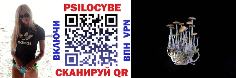 Псилоцибиновые грибы GOLDEN TEACHER  что такое   Дмитровск 